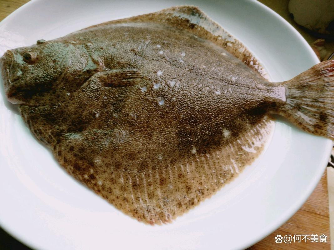 多寶魚長什么樣子圖片【《多寶魚的外貌特征》】