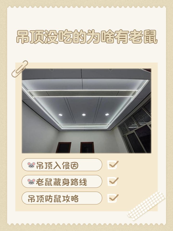 吊頂沒吃的為啥有老鼠【吊頂沒食物為何有老鼠】