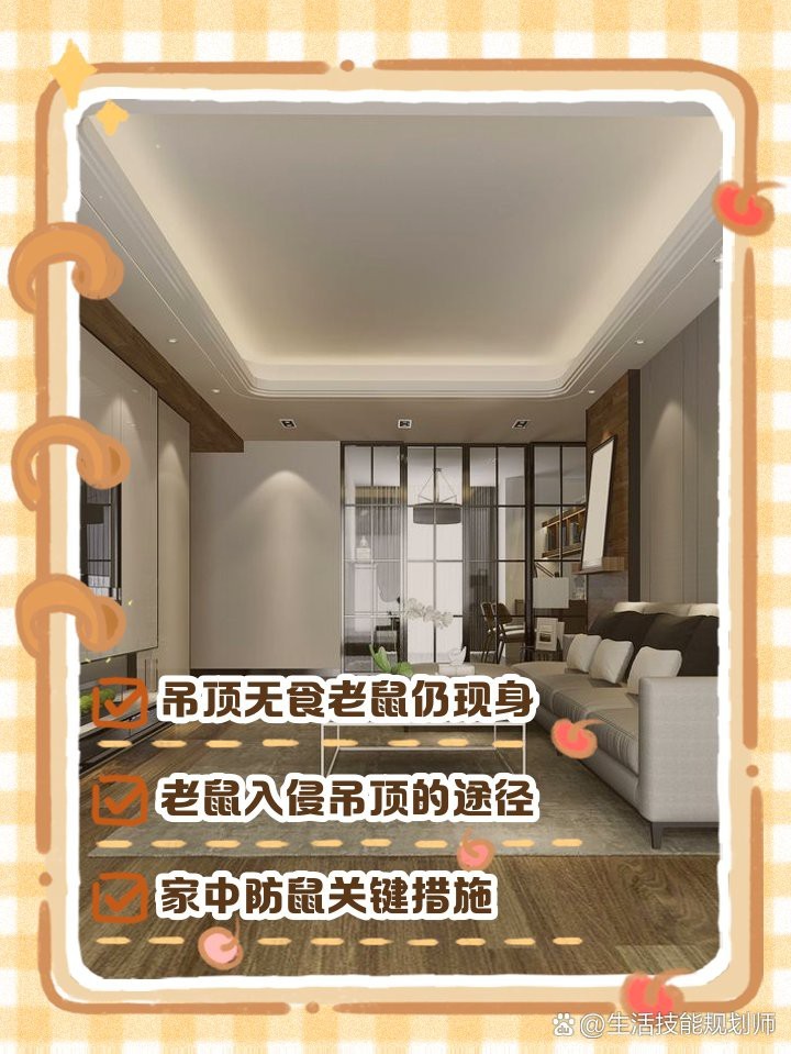 吊頂沒吃的為啥有老鼠【吊頂沒食物為何有老鼠】