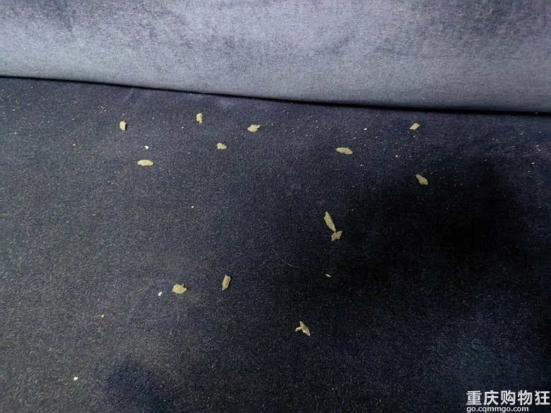 吊頂沒吃的為啥有老鼠【吊頂沒食物為何有老鼠】