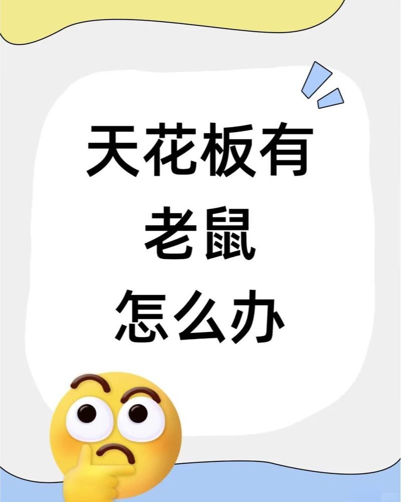 吊頂沒吃的為啥有老鼠【吊頂沒食物為何有老鼠】