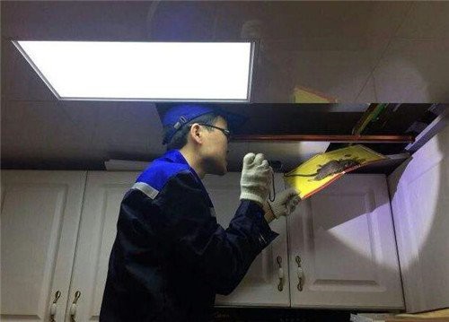 吊頂沒吃的為啥有老鼠【吊頂沒食物為何有老鼠】