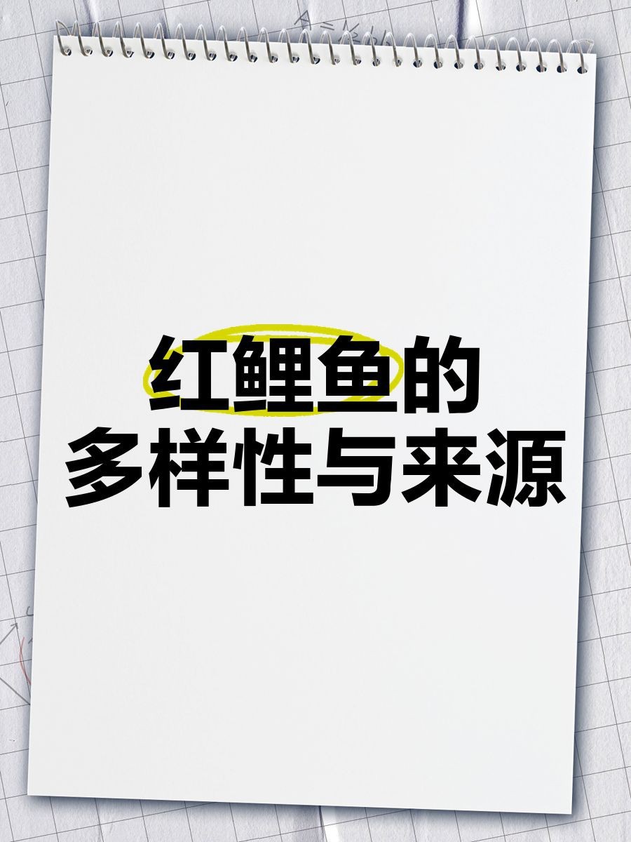 紅錦鯉的寓意和象征【紅錦鯉在風水學中的具體寓意】