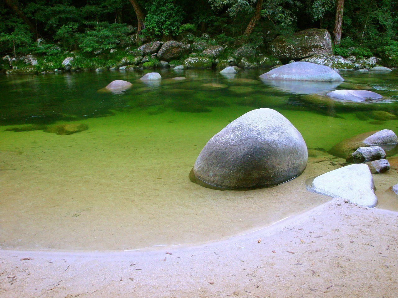 龍魚腹水抽了最簡單處理【龍魚腹水抽取后如何護(hù)理】