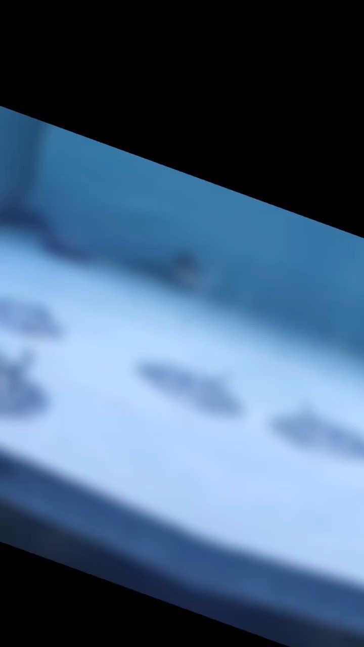 魟魚不吃食是怎么回事【《魟魚不吃食的原因及應(yīng)對(duì)方法》】