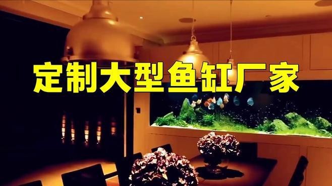 定制的魚缸哪里好【《定制的魚缸哪里好》****亞克力)魚缸】