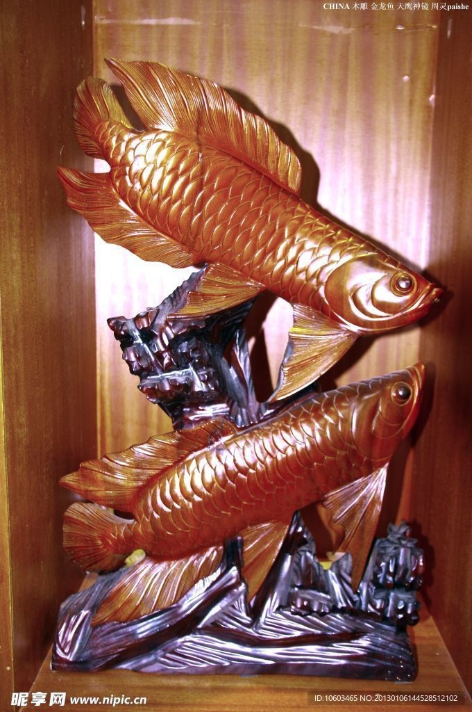 有哪些著名的木雕金龍魚作品？【如何鑒別木雕金龍魚的真偽？】 有哪些著名的木雕金龍魚作品？【如何鑒別木雕金龍魚的真偽？】 龍魚論壇 第5張