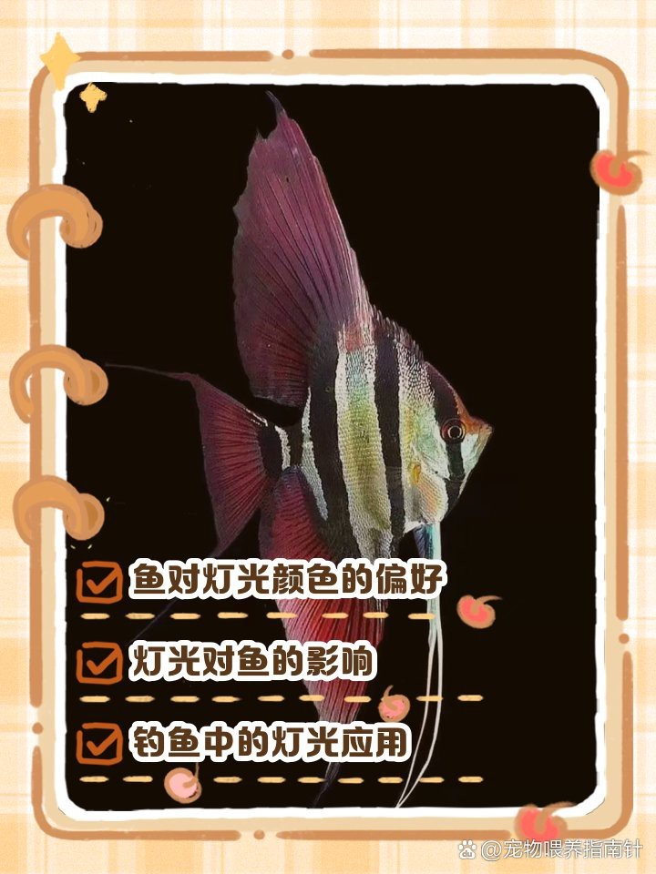 金魚缸燈光用什么顏色好【金魚缸燈光顏色怎么選擇】