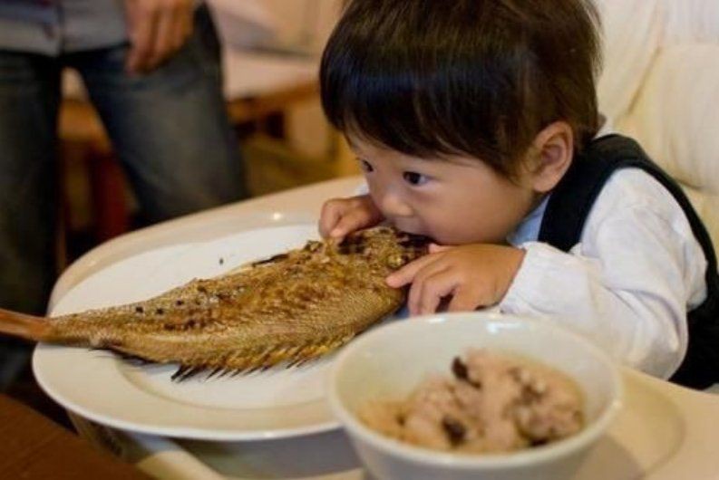 海象魚盡量少吃的原因【海象肉為何要盡量少吃】