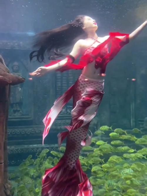 紅美人魚圖片【紅美人魚的下半身究竟是什么魚紅發美人魚壁紙愛麗兒】