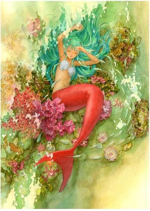 紅美人魚圖片【紅美人魚的下半身究竟是什么魚紅發美人魚壁紙愛麗兒】