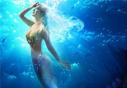 紅美人魚圖片【紅美人魚的下半身究竟是什么魚紅發美人魚壁紙愛麗兒】