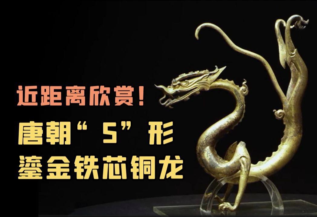 有哪些著名的銅龍藏品？【全球著名的銅龍藏品及相關信息整理：“虎頭虎腦”“豬里豬氣”】