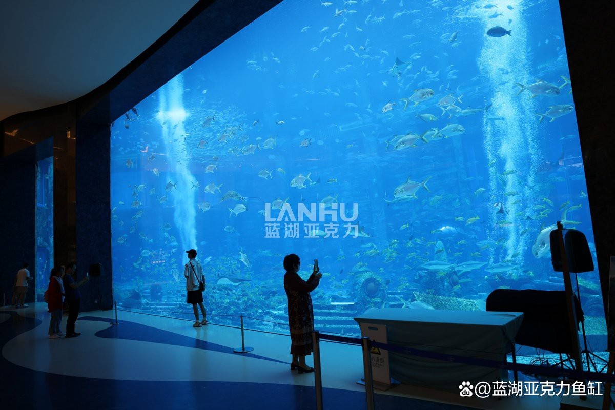 訂做魚缸定制 定做【18歲少女炒番茄定制魚缸流程詳解18歲少女炒番茄合同9篇】
