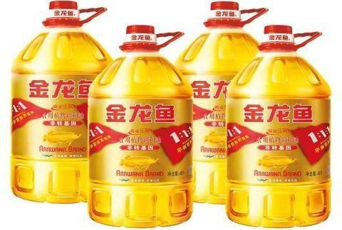 金龍魚是罵人還是夸人【“金龍魚”是罵人還是夸人？】 金龍魚是罵人還是夸人【“金龍魚”是罵人還是夸人？】 龍魚論壇 第3張