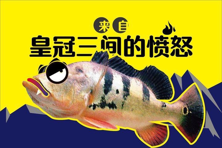 帝王三間魚最怕什么【帝王三間魚的飼養方法】