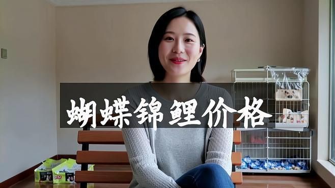 蝴蝶鯉最貴十大品種排名【蝴蝶鯉什么品種最貴】