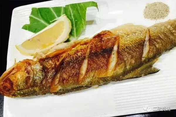非洲金鼓魚有毒嗎【哪些魚不能吃排榜首的魚】