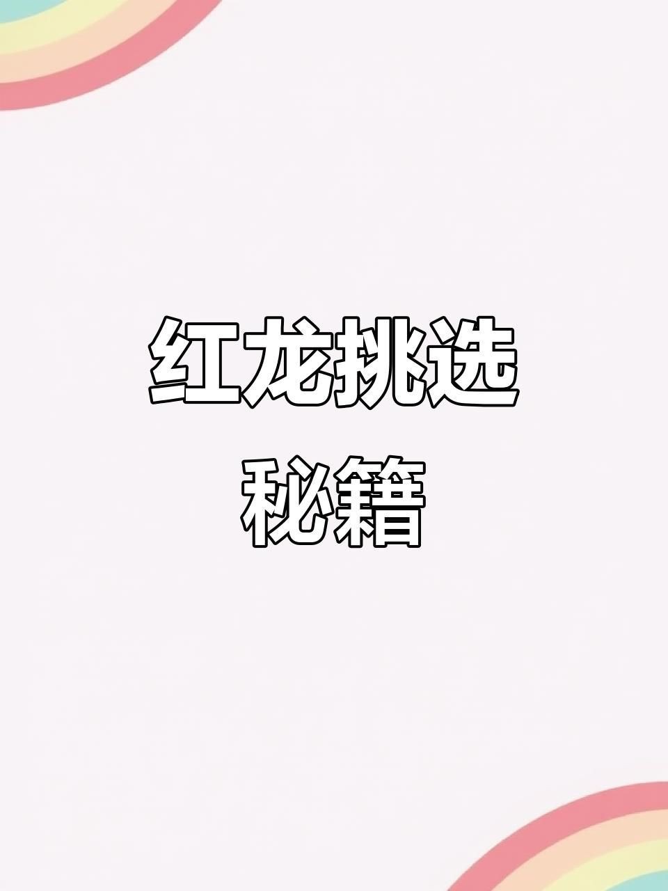 紅龍魚最建議買的5個品牌【紅龍魚哪個品種好看又好養愛奇藝紅龍魚哪個品種最好看】