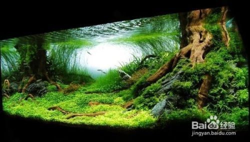 本溪市明山區(qū)金玉淡水魚銷售處（本溪市明山區(qū)金玉淡水魚銷售處電話）【本溪市明山區(qū)金玉淡水魚銷售處】