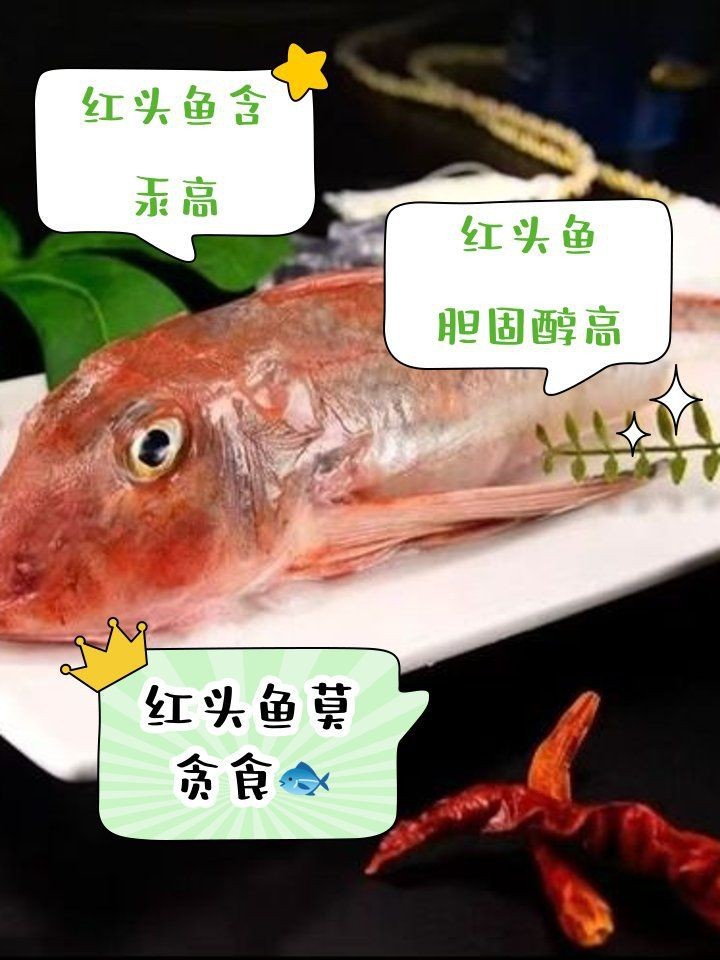 紅頭魚最大的害處【紅頭魚為何盡量少吃這五種魚釣到也不要舍不得去吃】