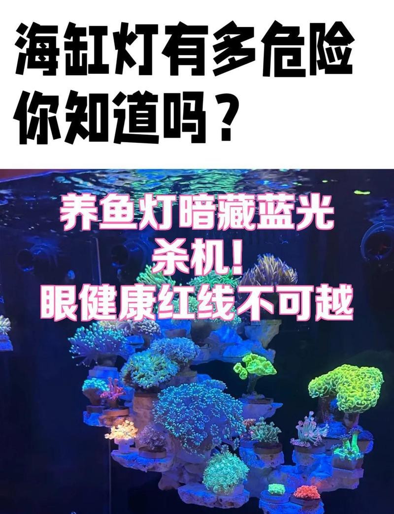 水族燈的毒性有多強【養魚大全】