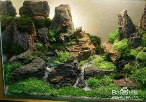 賓陽縣奇美工藝水族館（微型企業）【賓陽縣奇美工藝水族館】 賓陽縣奇美工藝水族館（微型企業）【賓陽縣奇美工藝水族館】 全國水族館企業名錄
