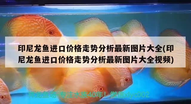 陸良縣中樞鎮名典裝潢花藝水族館（陸良縣中樞鎮名典裝潢花藝水族館電話）（名典裝潢花藝水族館）