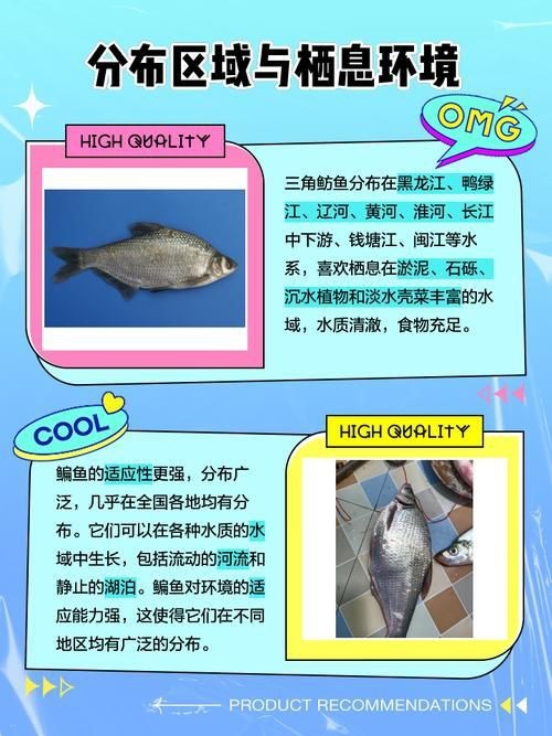 魟魚和鰩魚圖片對比（[需手動填充]魚和鰩魚的區別）