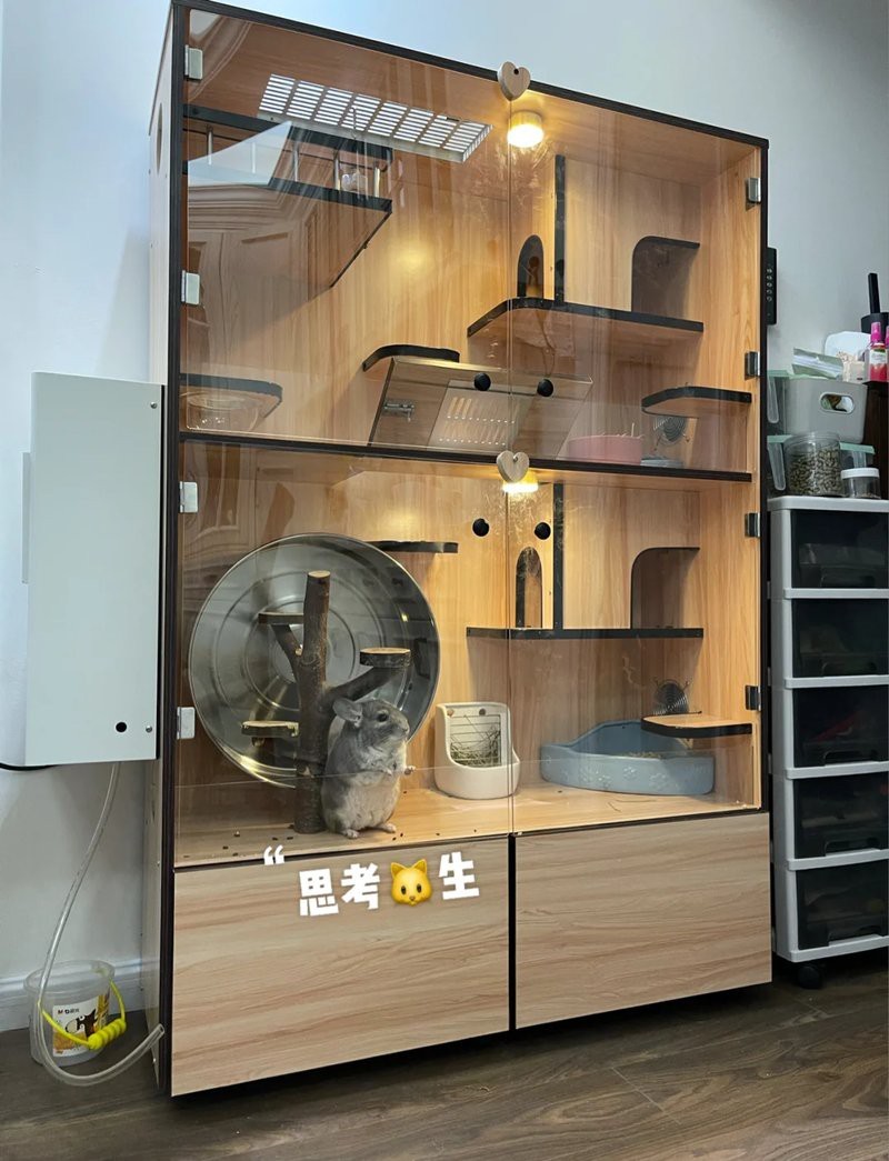 龍貓雙養需要多大的籠子？（龍貓雙養所需的籠子尺寸需綜合考慮）