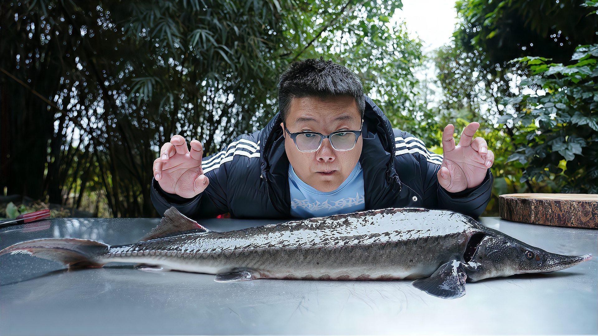 如何延長鱘龍魚的壽命？（延長鱘龍魚的壽命需結合科學飼養與環境管理）