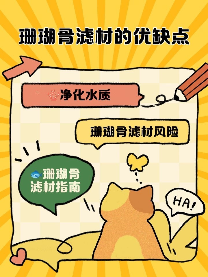 龍魚缸過濾是否可以放珊瑚骨（珊瑚骨在魚缸過濾一般起到什么作用）
