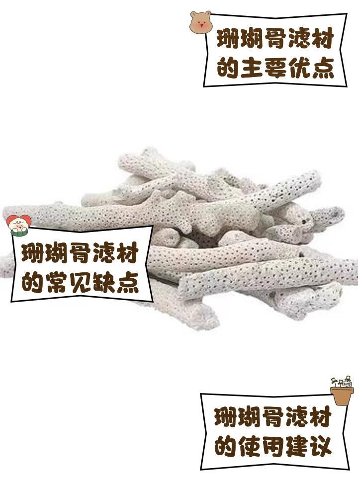 龍魚缸過濾是否可以放珊瑚骨（珊瑚骨在魚缸過濾一般起到什么作用）