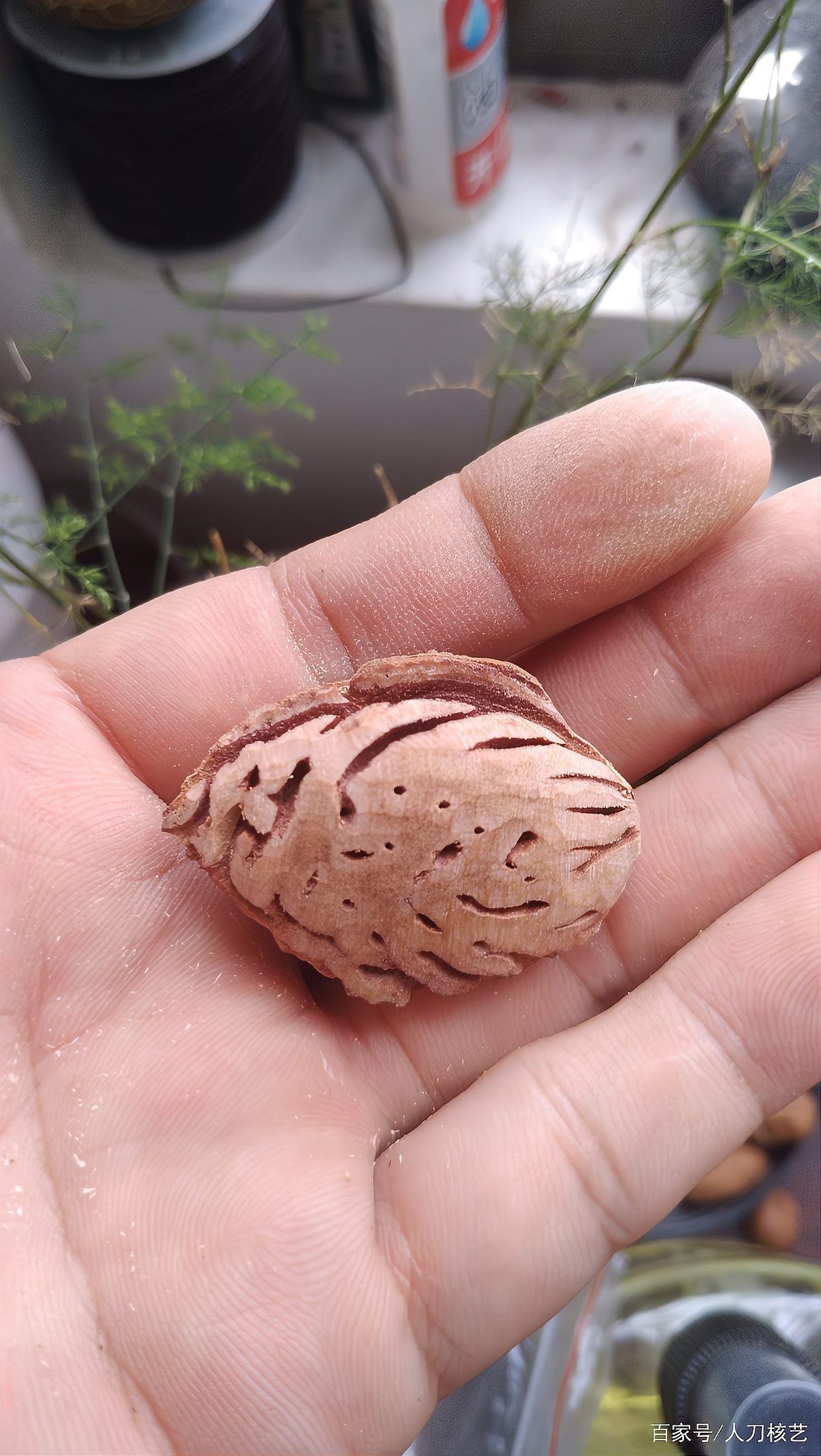 雕刻100種魚圖片欣賞（魚類雕刻藝術(shù)）