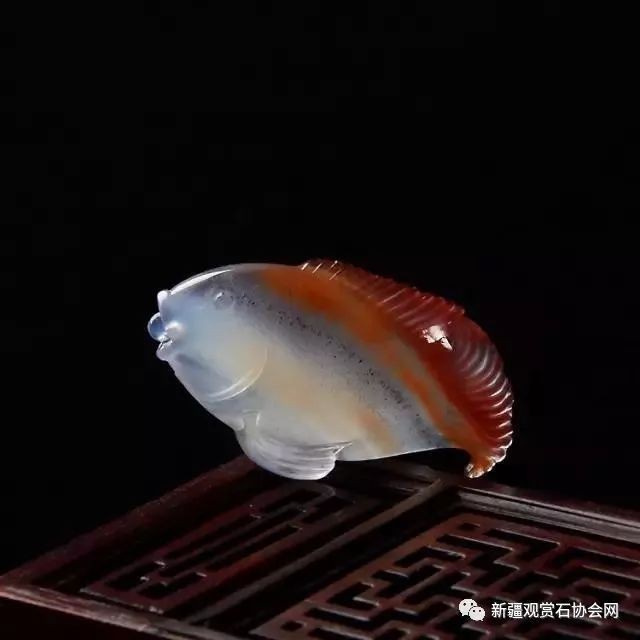 雕刻100種魚圖片欣賞（魚類雕刻藝術(shù)）