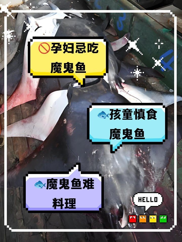 魟魚能吃嗎（]魚——深藏毒刺的魔鬼魚）