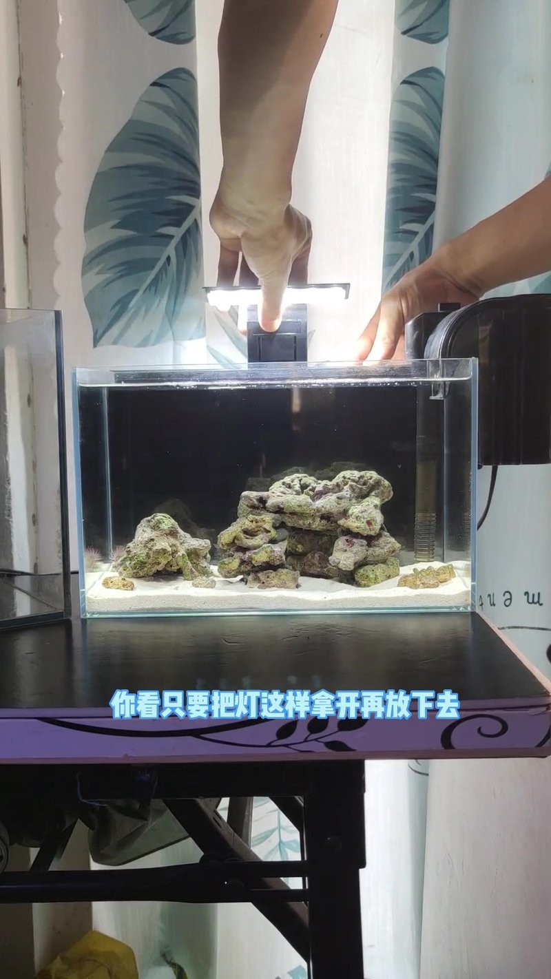 選擇魚缸背景紙的方法（魚缸背景紙如何選擇）