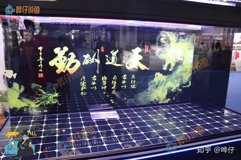 選擇魚缸背景紙的方法（魚缸背景紙如何選擇）
