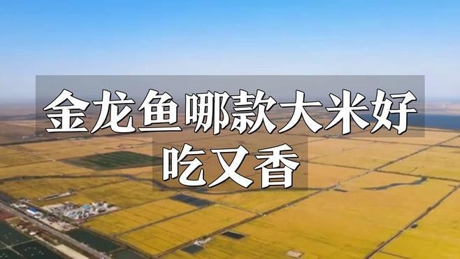 金龍魚稻花香系列哪個最好吃？（金龍魚稻花香系列哪個最好吃智能模式回答完成調用工具） 金龍魚稻花香系列哪個最好吃？（金龍魚稻花香系列哪個最好吃智能模式回答完成調用工具） 龍魚百科 第10張