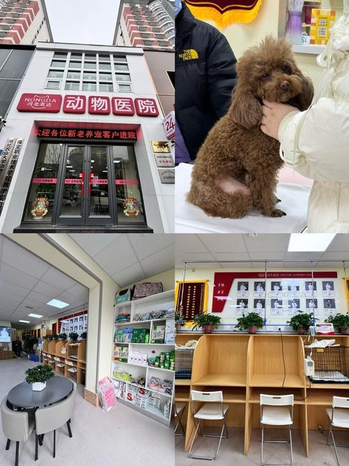 保定龍魚手術哪里能做的好啊醫生（保定市第二中心醫院保定市第二中心醫院博禾醫生保定皰疹醫院排行）