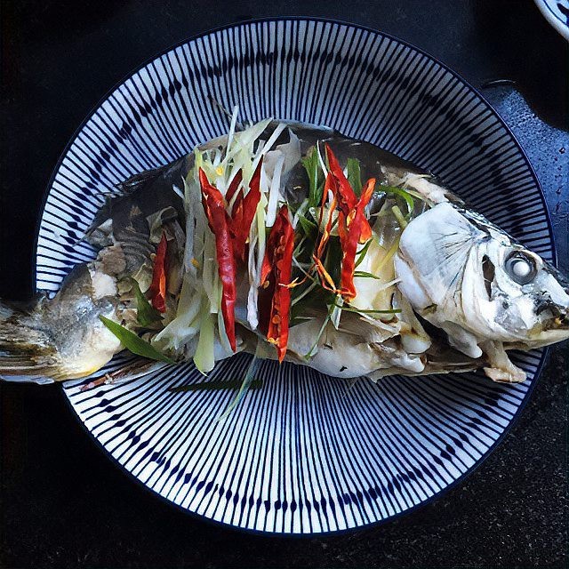 丁桂魚的做法（檸檬蒸丁桂魚） 丁桂魚的做法（檸檬蒸丁桂魚） 龍魚論壇 第1張