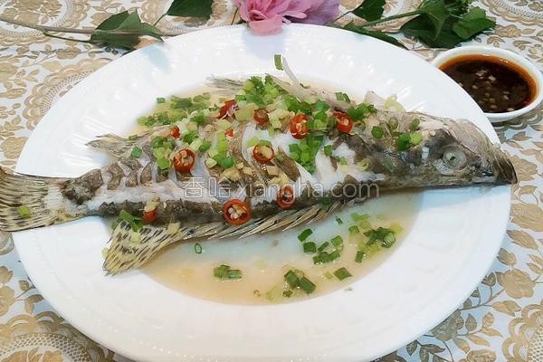 丁桂魚的做法（檸檬蒸丁桂魚） 丁桂魚的做法（檸檬蒸丁桂魚） 龍魚論壇 第3張
