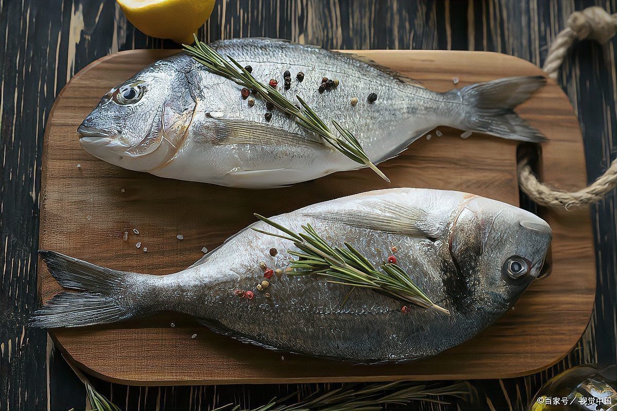 淡水鯧魚有幾個品種（淡水鯧魚品種大揭秘:金鯧、白鯧、紅鯧）