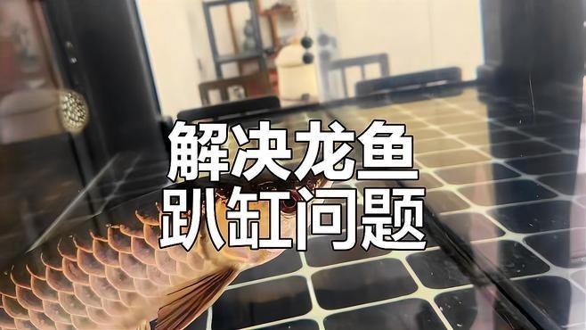 龍魚趴缸怎么治療溫度（龍魚趴缸怎么治療）