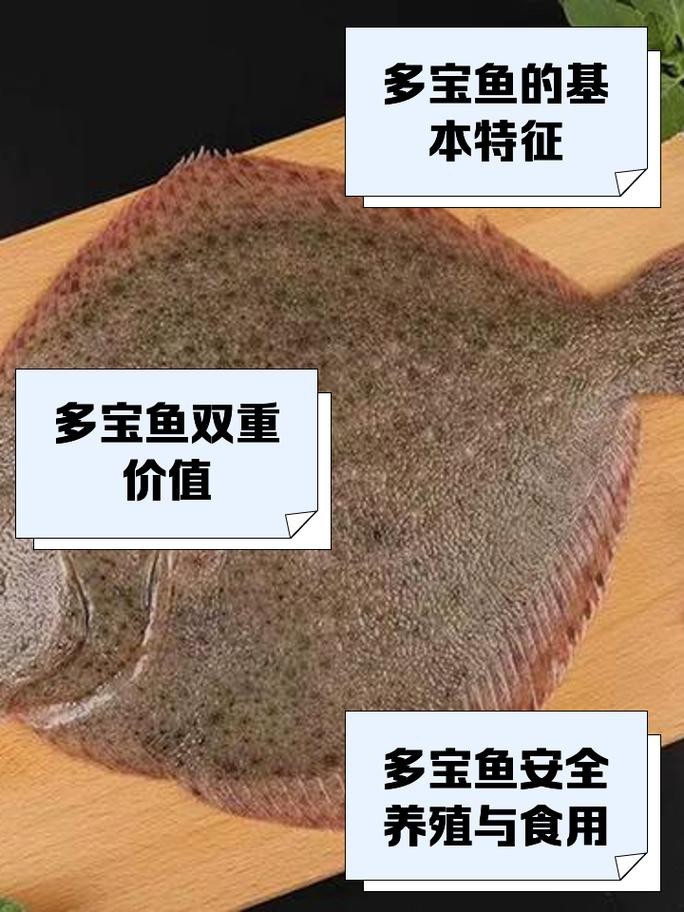 多福魚的圖片
