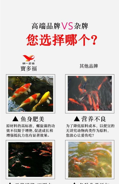 多福魚的圖片