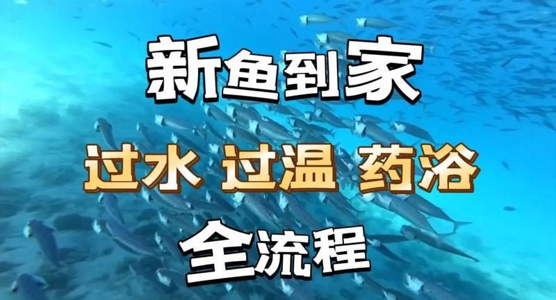 虎魚泡藥了多久看出來（關(guān)于虎魚泡藥后的檢測時間及方法未明確提及“2000字檢測”具體含義）