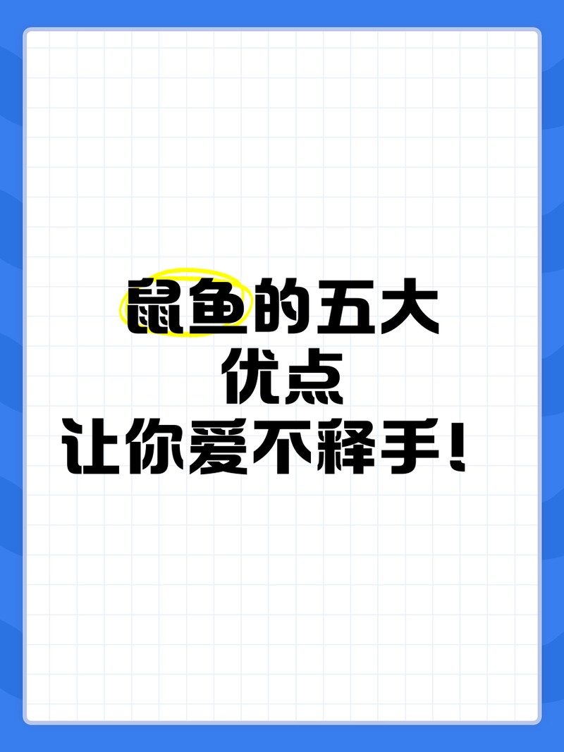 鼠魚最建議買的幾種（ 鼠魚最建議買的幾種（\