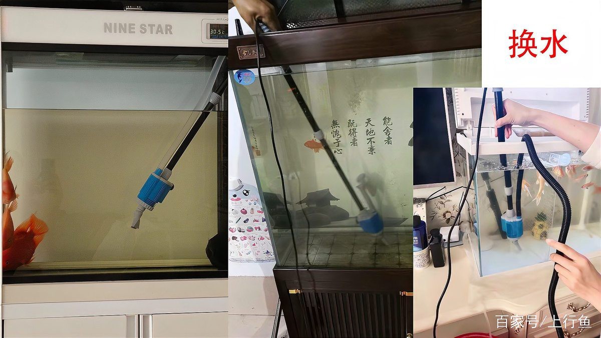 放了土霉素不換水可以嗎（土霉素在養魚中的應用與注意事項）