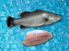 單龍魚的名稱怎么叫好聽（給小魚起名字寓意魚取一個詩意的名字是什么3788網(wǎng)）